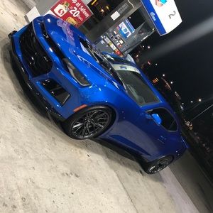 Meet your Posher, Leonard